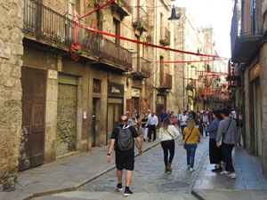 Temps de Flors 2024. Carrer Ballesteries