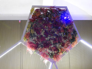 Temps de Flors 2024. Casa Mart&iacute;nez-Davalillos