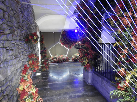 Temps de Flors 2024. Casa Mart&iacute;nez-Davalillos