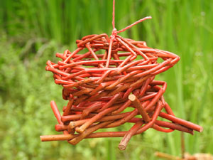 Temps de Flors 2024. Jardins del doctor Figueras - Font