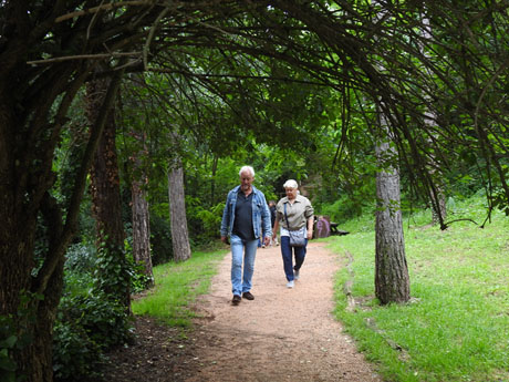 Temps de Flors 2024. Cam&iacute; de l'Ermessenda