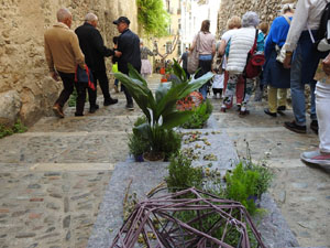 Temps de Flors 2024. Escales de la Mare de Déu de la Pera