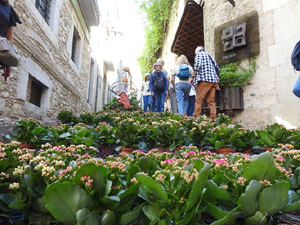 Temps de Flors 2024. Escales de la Mare de Déu de la Pera