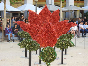 Temps de Flors 2024. Pla&ccedil;a de la Independ&egrave;ncia