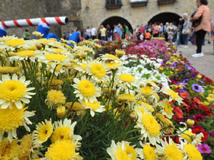 Temps de Flors 2024. Pla&ccedil;a dels Jurats