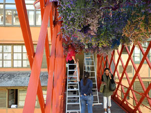 Temps de Flors 2024. Making of de l'esdeveniment