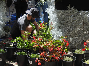 Temps de Flors 2024. Making of de l'esdeveniment