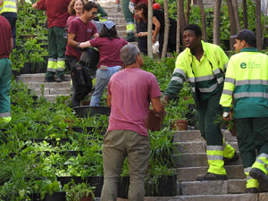 Temps de Flors 2024. Making of de l'esdeveniment
