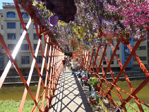 Temps de Flors 2024. Making of de l'esdeveniment