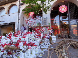 Temps de Flors 2024. Making of de l'esdeveniment