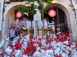 Temps de Flors 2024. Making of de l'esdeveniment