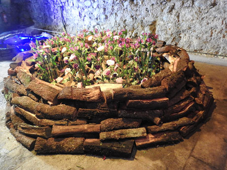 Temps de Flors 2024. Museu d'Història - Carbonera