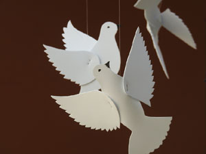 Temps de Flors 2024. Museu d'Hist&ograve;ria - Claustre