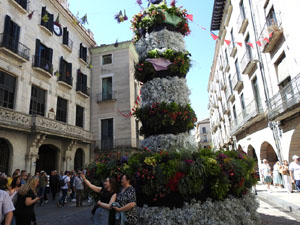 Temps de Flors 2024. Plaça del Vi