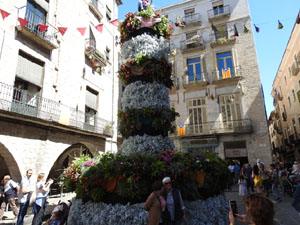 Temps de Flors 2024. Plaça del Vi