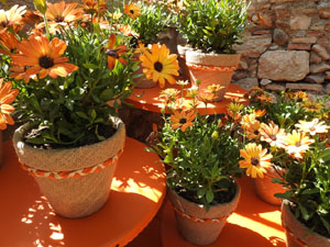 Temps de Flors 2024. Capella de Sant Crist&ograve;fol