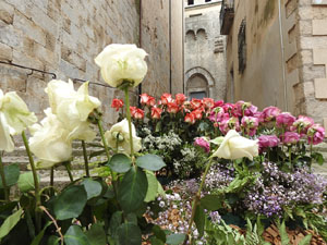 Temps de Flors 2024. Basílica de Sant Feliu