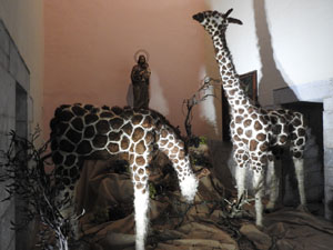 Temps de Flors 2024. Esgl&eacute;sia de Sant Mart&iacute; - Seminari