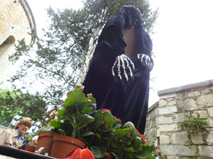 Temps de Flors 2024. Absis de Sant Pere de Galligants