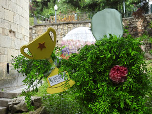 Temps de Flors 2024. Absis de Sant Pere de Galligants