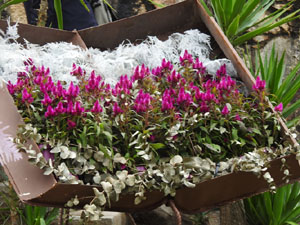 Temps de Flors 2024. Absis de Sant Pere de Galligants