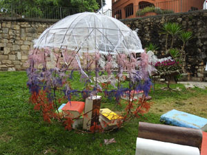 Temps de Flors 2024. Absis de Sant Pere de Galligants