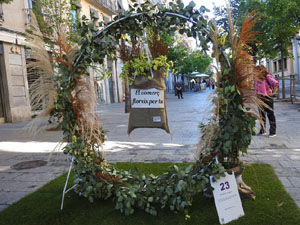 Temps de Flors 2024. Espais diversos