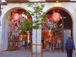 Temps de Flors 2024. Espais diversos