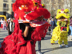 Celebraci&oacute; de l'any nou xin&egrave;s, el 4723, any de la Serp, a Girona