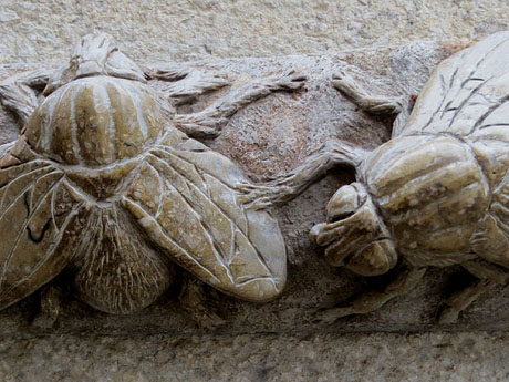 El carrer de les Mosques