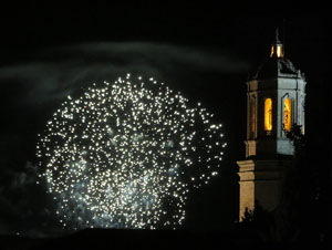 Fires de Sant Narc&iacute;s 2025. Els focs