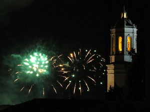 Fires de Sant Narc&iacute;s 2025. Els focs