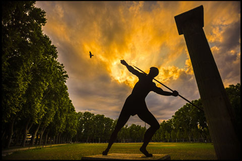 El llan&ccedil;ador de javelina