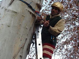 Reis 2025. El campament reial al camp de Mart al parc de la Devesa