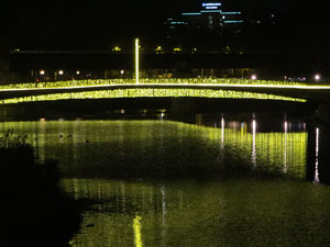 Nadal 2025. Els llums de Nadal