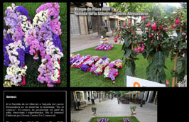Anar