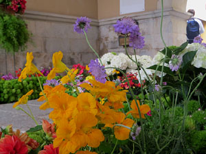 Temps de Flors 2025. Ajuntament de Girona. Entrada