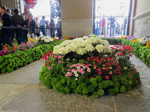 Temps de Flors 2025. Ajuntament de Girona. Entrada