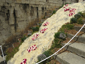 Temps de Flors 2025. Els Plaça dels Apòstols