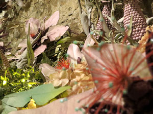 Temps de Flors 2025. Els Casa Lleó Avinay
