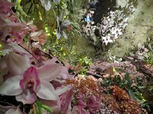 Temps de Flors 2025. Els Casa Lleó Avinay
