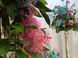 Temps de Flors 2025. Banys Àrabs