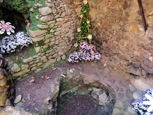 Temps de Flors 2025. Banys Àrabs