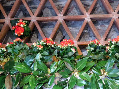 Temps de Flors 2025. Palau de Caramany