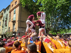 Temps de Flors 2025. Diada castellera