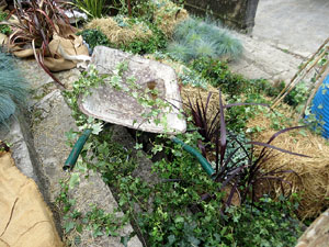 Temps de Flors 2025. Escales de l'esgl&eacute;sia dels Dolors