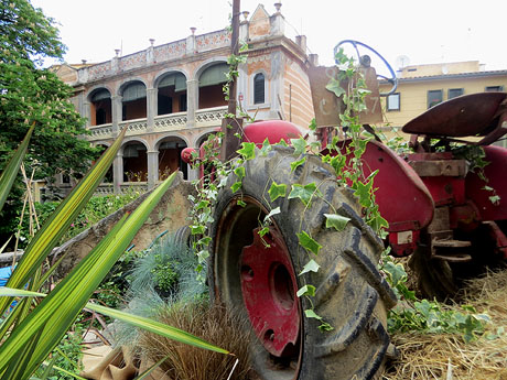 Temps de Flors 2025. Escales de l'esgl&eacute;sia dels Dolors