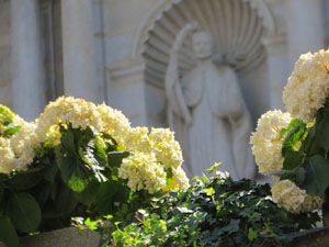 Temps de Flors 2025. Els Escales de la Catedral