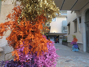 Temps de Flors 2025. Farinera Teixidor