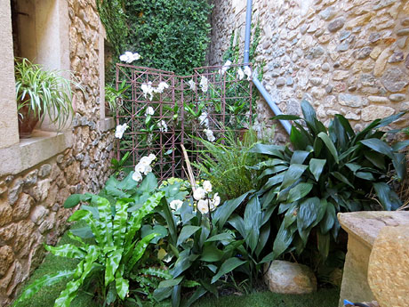 Temps de Flors 2025. Carrer Ferran el catòlic (pati)